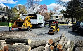 Best Utility Line Clearance  in Ramsey, NJ
