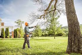 Best Commercial Tree Services  in Ramsey, NJ